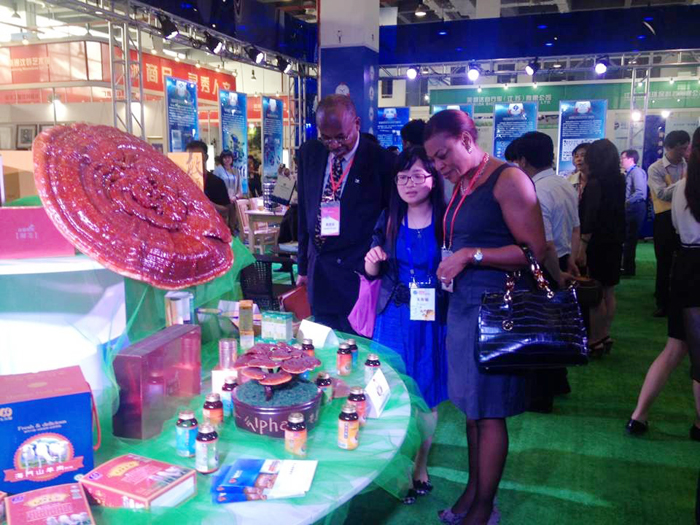 專(zhuān)題報(bào)道