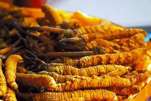 圖片關(guān)鍵詞 圖片關(guān)鍵詞