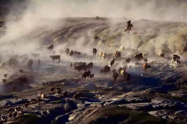 國家蘑菇地理：中國哪里的蘑菇最好吃？