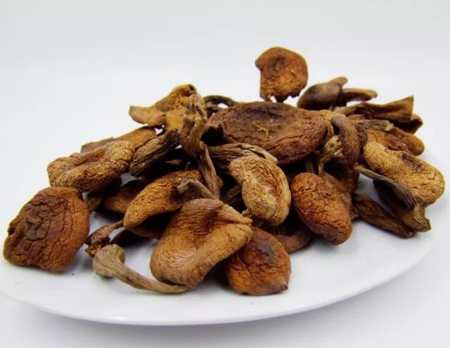 國家蘑菇地理：中國哪里的蘑菇最好吃？