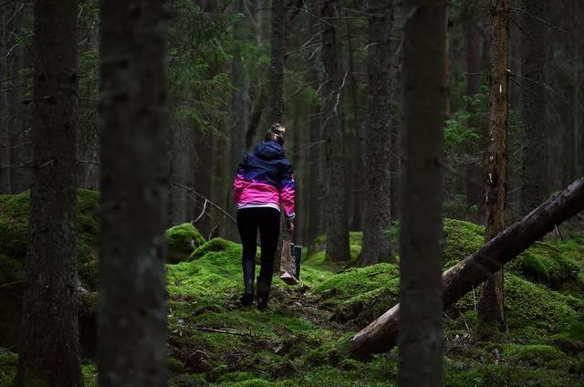 國家蘑菇地理：中國哪里的蘑菇最好吃？