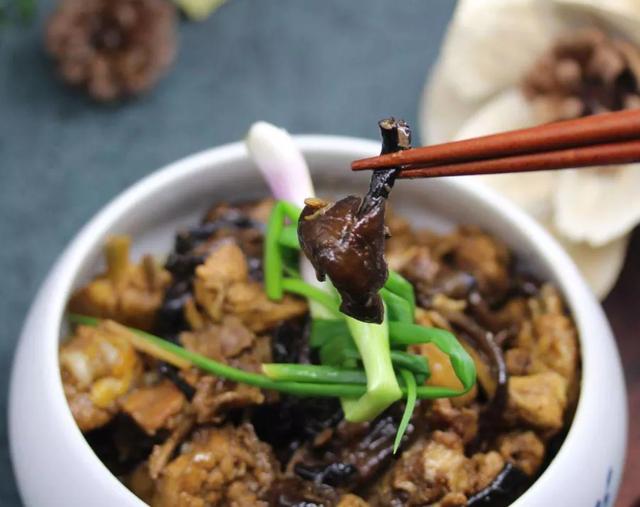 國家蘑菇地理：中國哪里的蘑菇最好吃？