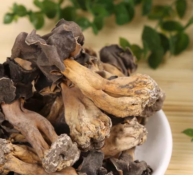 國家蘑菇地理：中國哪里的蘑菇最好吃？