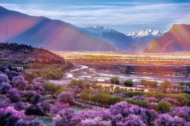 國家蘑菇地理：中國哪里的蘑菇最好吃？