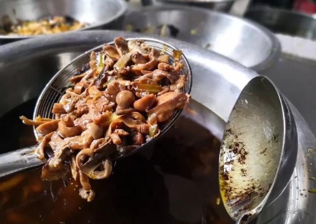 國家蘑菇地理：中國哪里的蘑菇最好吃？