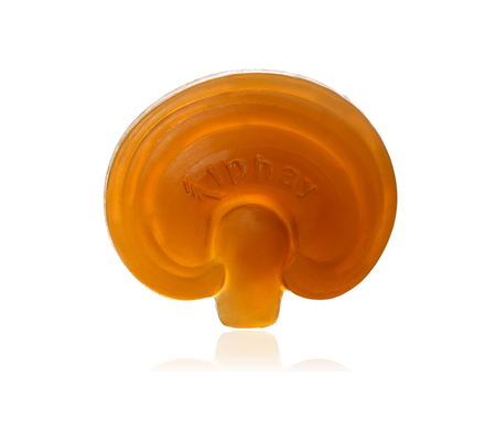 靈芝滋養(yǎng)潔面皂