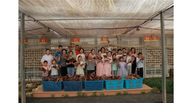 專(zhuān)題報(bào)道