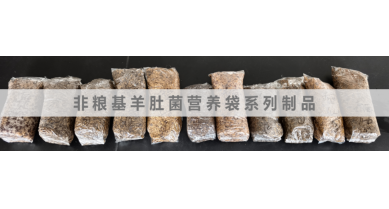 行業(yè)動態(tài)