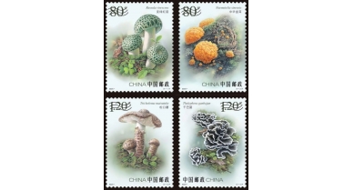 行業(yè)動(dòng)態(tài)