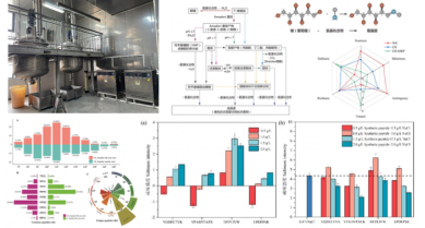 行業(yè)動(dòng)態(tài)