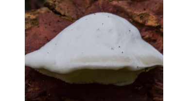 行業(yè)動態(tài)