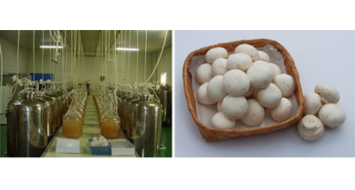 行業(yè)動(dòng)態(tài)