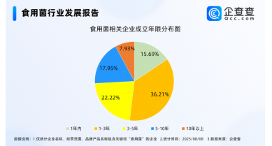 行業(yè)動態(tài)