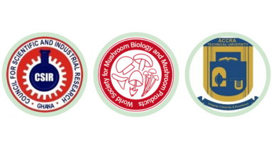 行業(yè)動態(tài)