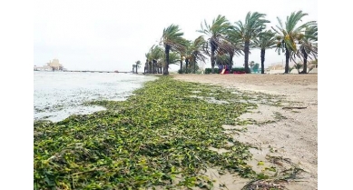 行業(yè)動(dòng)態(tài)